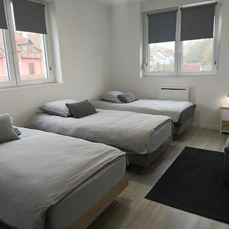 Appartement Entier F3 Renove - Petite Pause A Sélestat Eksteriør bilde