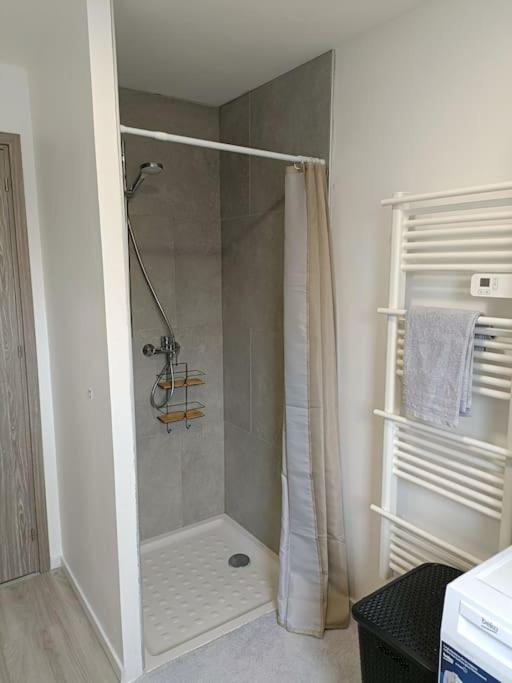 Appartement Entier F3 Renove - Petite Pause A Sélestat Eksteriør bilde