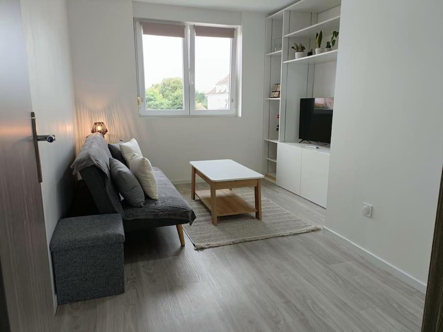 Appartement Entier F3 Renove - Petite Pause A Sélestat Eksteriør bilde