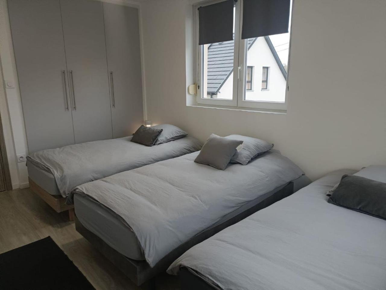Appartement Entier F3 Renove - Petite Pause A Sélestat Eksteriør bilde