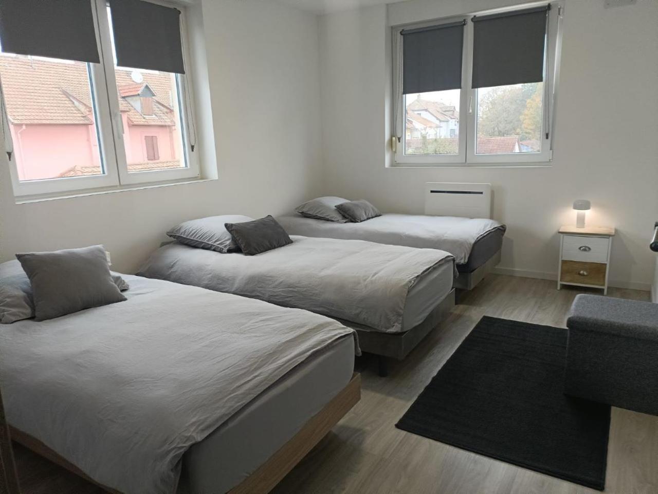 Appartement Entier F3 Renove - Petite Pause A Sélestat Eksteriør bilde